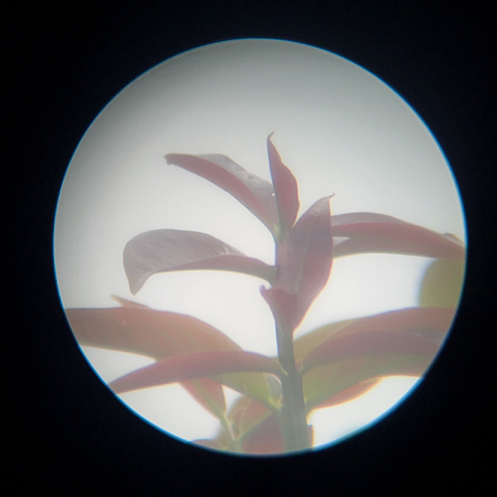 กล้องส่องทางไกล ดูนก ส่องสัตว์ Jiehe 20-60X60