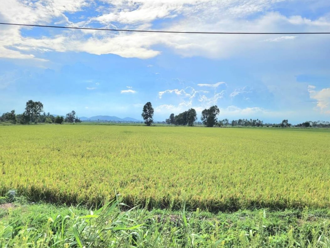 💰ติดทรัพย์💰ขายที่ดินแปลงสวย ทำเลทอง ติดถนนสี่เลน อ.อู่ทอง จ.สุพรรณบุรี เนื้อที่ 4-3-66 ไร่ ไร่ละ 1.4 ล้าน หน้ากว้างติดถนน 47 เมตร ลึก 185 เมตร ทำเลดี ที่สวย อยู่ใกล้สถานที่ท่องเที่ยวหลายแห่งในเมืองสุพรรณ