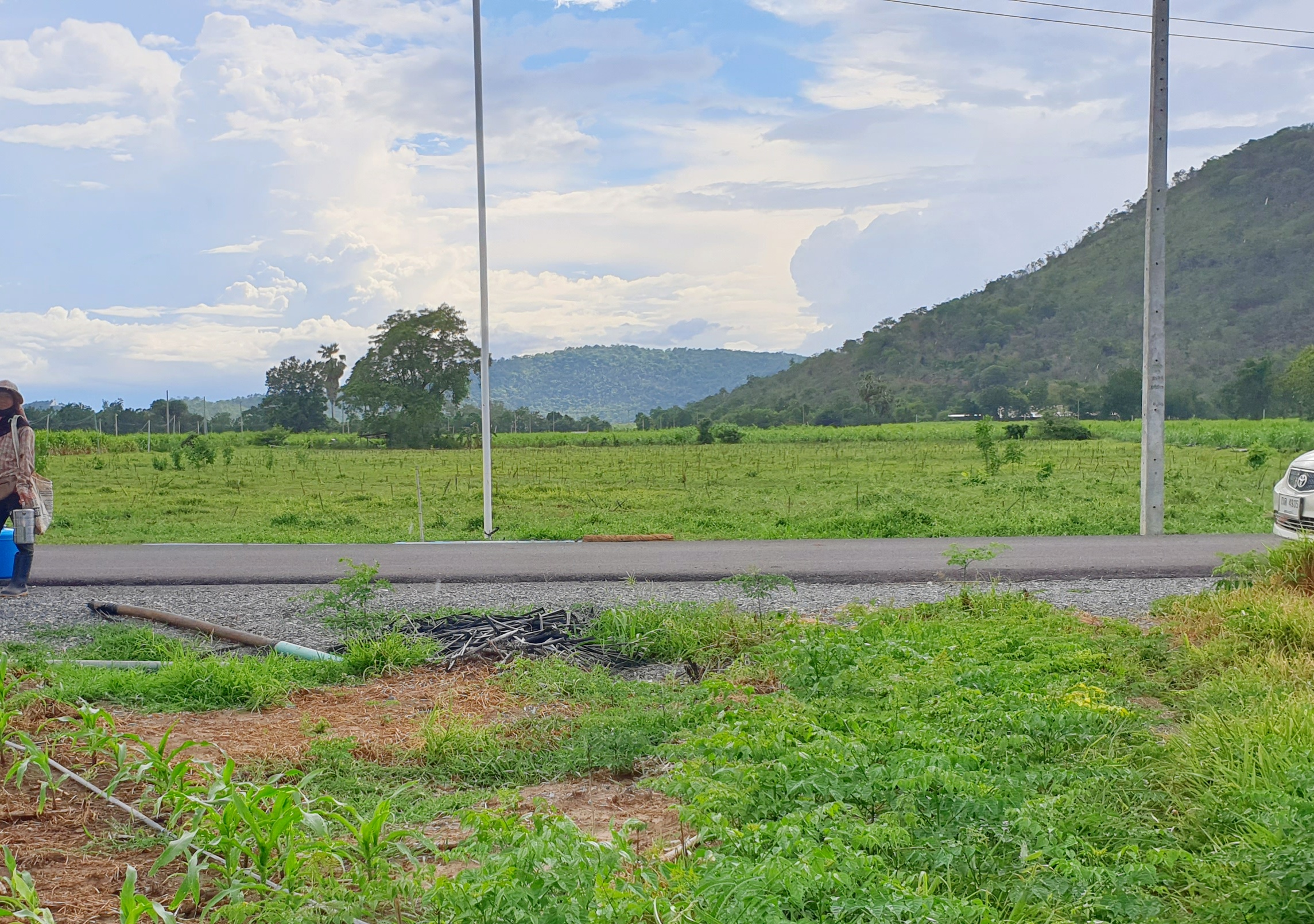 💰ขายแล้ว💰ขายที่ดินวิวสวย ติดถนนลาดยาง บรรยากาศดี วิวทิวทัศน์สวยงาม อ.อู่ทอง จ.สุพรรณบุรี เนื้อที่ 10 ไร่ ราคาไร่ละ 280,000 บาท ด้านหน้าติดถนนลาดยาง เข้า-ออก ได้หลายทาง