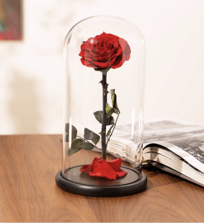 กุหลาบสดในโหลแก้ว Size L (18x32cm) พร้อมกล่องสุด Premium