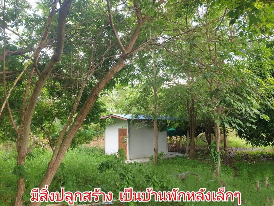 ขายที่ดินสวนมะม่วง 2 ไร่ บรรยากาศดี ทำเลเยี่ยม ราคาถูก! ติดดถนนลาดยาง 2 ด้าน: ต.สนามคลี อ.เมือง จ.สุพรรณบุรี เนื้อที่: 2 ไร่ ขายยกแปลง 1.3 ล้าน เข้าออกสะดวก