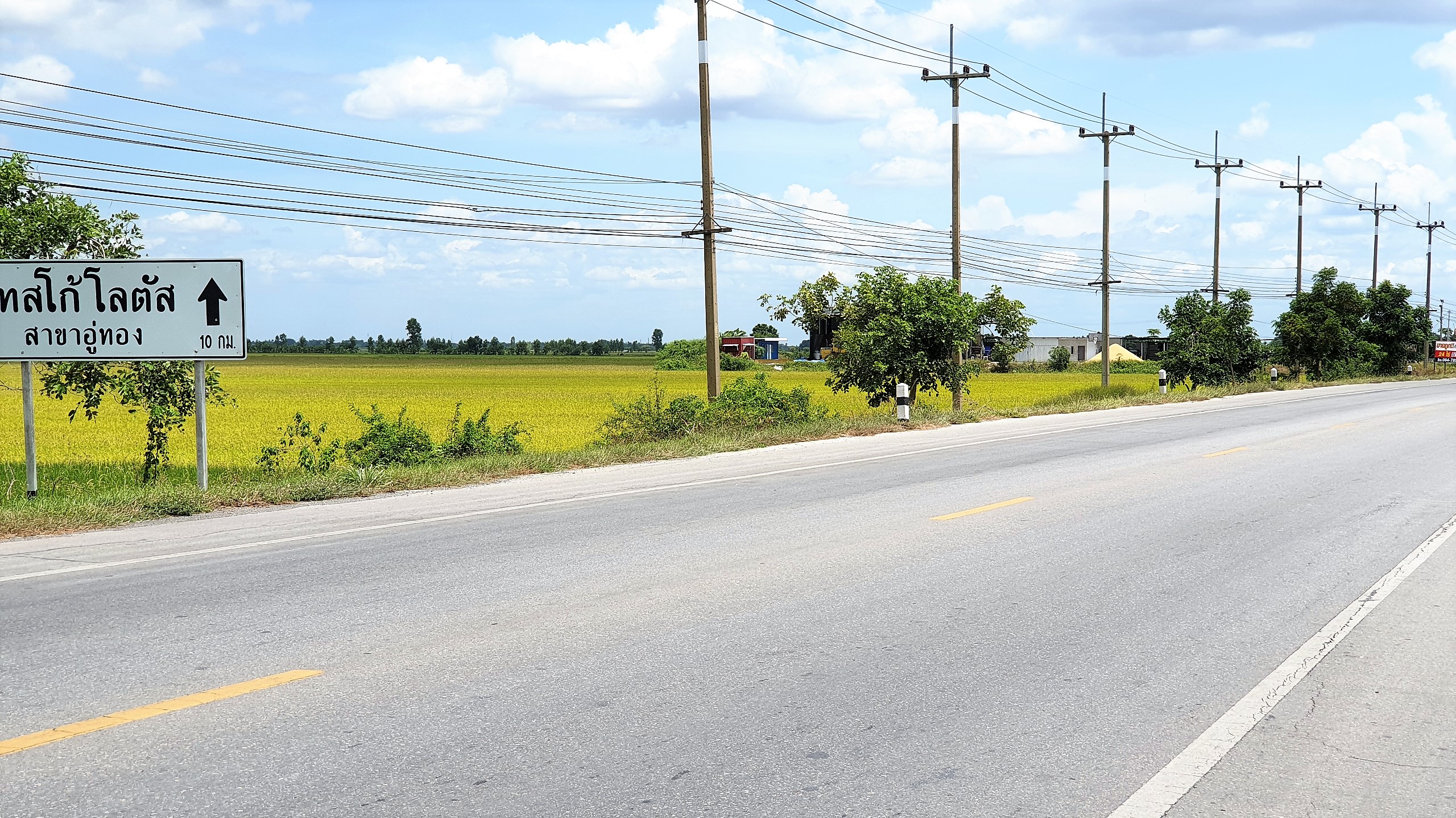 💰ขายแล้ว💰ที่ดินแปลงสวย เนื้อที่ 2-1-55 ไร่ ติดถนนทางหลวง 333 อ.อู่ทอง จ.สุพรรณบุรี น้ำท่าอุดมสมบูรณ์ ไฟฟ้า 3 เฟส