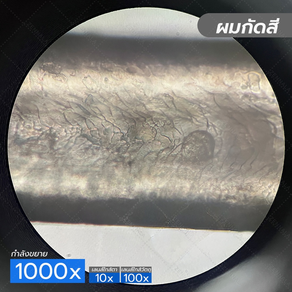 กล้องจุลทรรศน์ Trinocular 2000x ระบบ Infinity มีช่องต่อกล้อง ต่อจอเสริม รุ่น CM2000