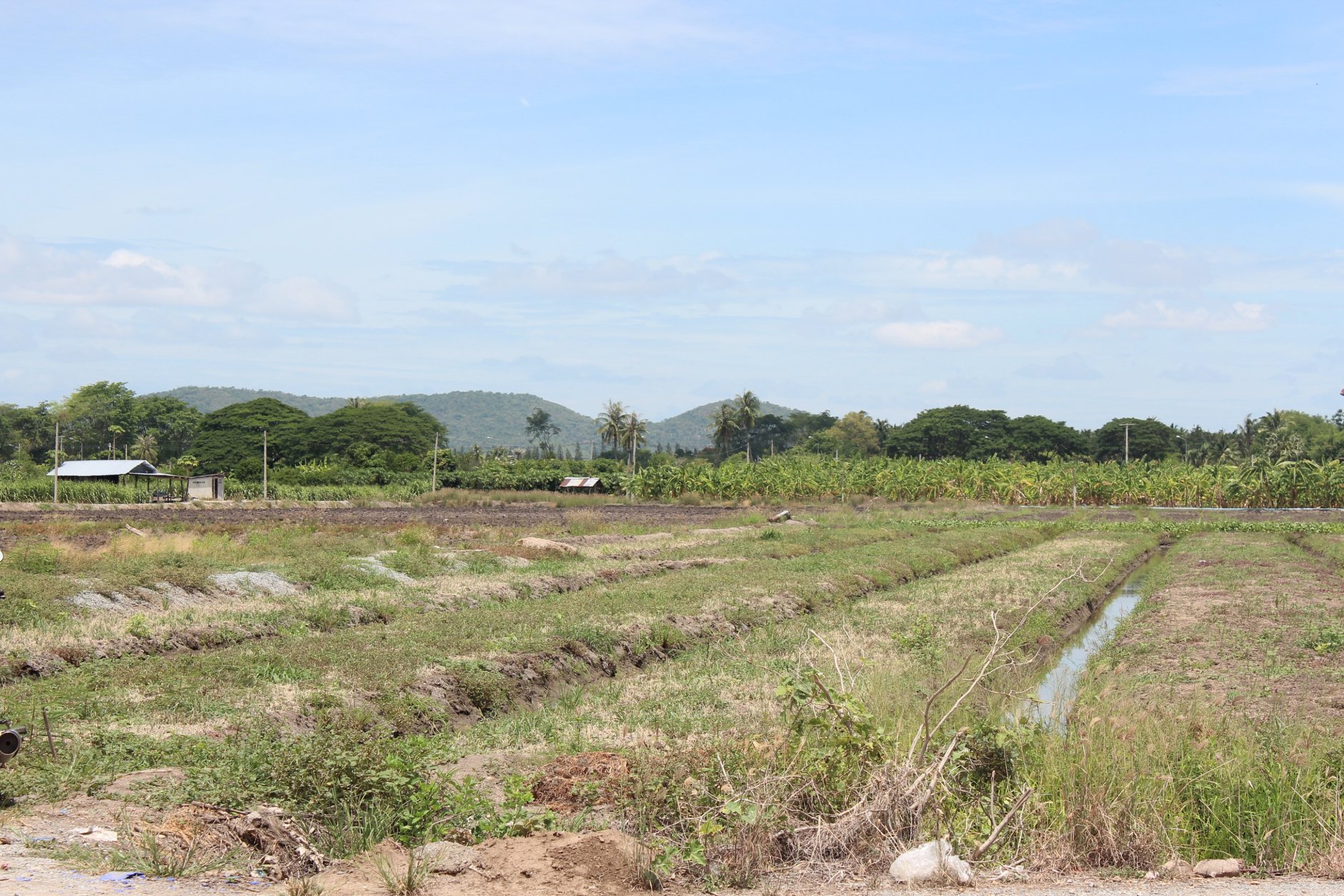 🍄ติดทรัพย์🍄ขายที่ดิน อ.อู่ทอง สุพรรณบุรี ใกล้สวนสวรรค์ ตลาดสีเขียวสุพรรณบุรี 37 ไร่ 1 งาน 93 ตรว ขายยกแปลง 9 ล้าน สถานที่ท่องเที่ยวชมพืชพันธุ์ดอกไม้ ทุ่งทานตะวัน มีถนนตัดผ่านรอบพื้นที่ ทำทางถนนรอบที่ ให้เรียบร้อย มีบ่อบาดาลในที่ 2 บ่อ มีคล