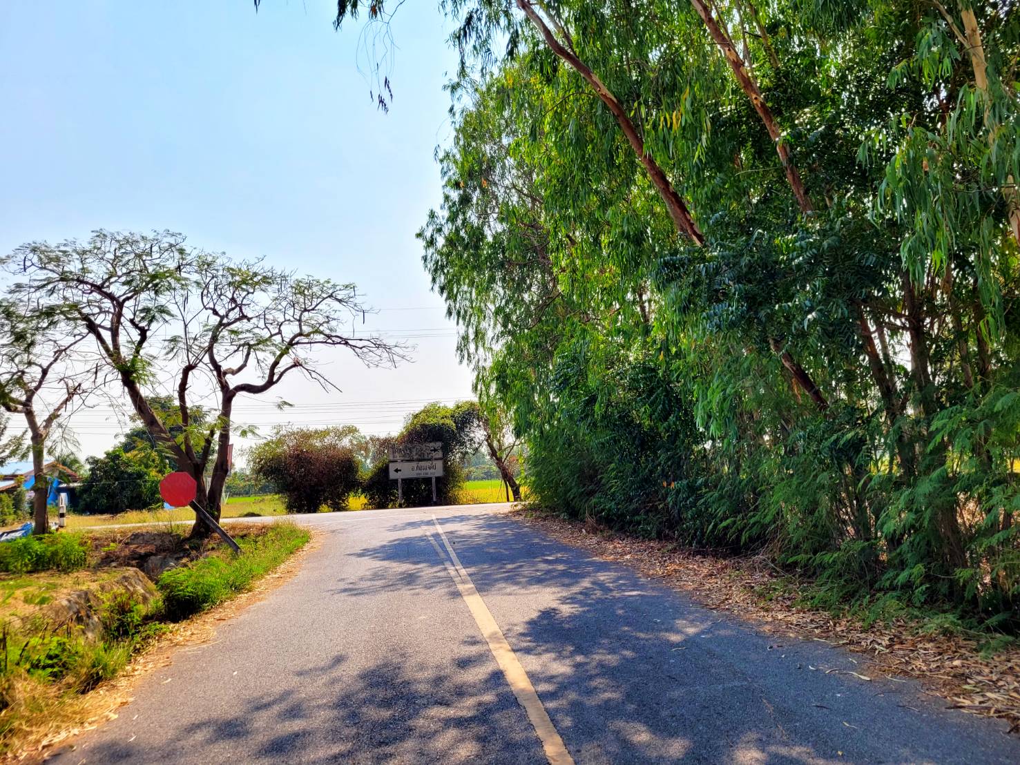 💰ขายแล้ว💰ขายบ้านเดี่ยวบ้านสวน พร้อมสวนมะม่วงน้ำดอกไม้สีทอง เนื้อที่ 2 ไร่ 3 งาน 72 ตรว ต.สนามคลี อ.เมือง จ.สุพรรณบุรี . ติดถนนลาดยาง หน้ากว้าง 24 เมตร ลึกยาว 200 เมตร 🍁มะม่วงน้ำดอกไม้สีทองประมาณ 250 ต้น อา