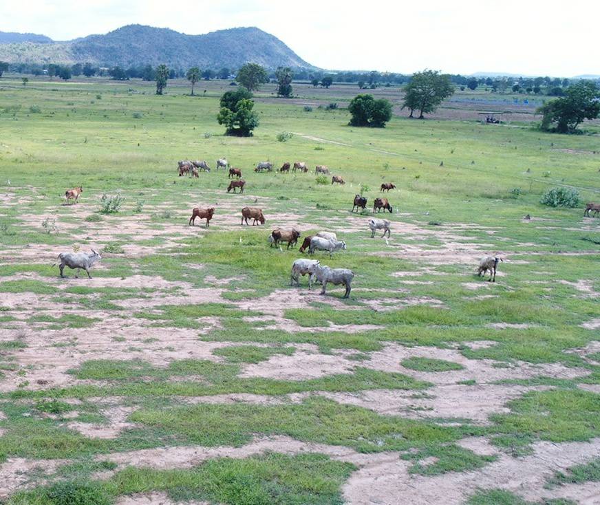 💰ขายแล้ว💰ขายที่ดินติดถนนลาดยาง อ.อู่ทอง ที่ดินเนื้อที่ 60-3-0 ไร่ ขายยกแปลง 14 ล้าน พร้อมค่าโอน เอกสารสิทธ์ เป็นโฉนด อ.อู่ทอง จ.สุพรรณบุรี ด้านหน้าติดถนนลาดยางหน้ากว้างประมาณ 120 เมตร ด้านหลังวิวภูเขา วิวทิวทัศน์สวยงาม บรรยากาศดี