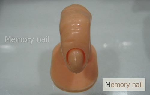 นิ้วปลอม,มือปลอม,แท่นวางเล็บปลอม