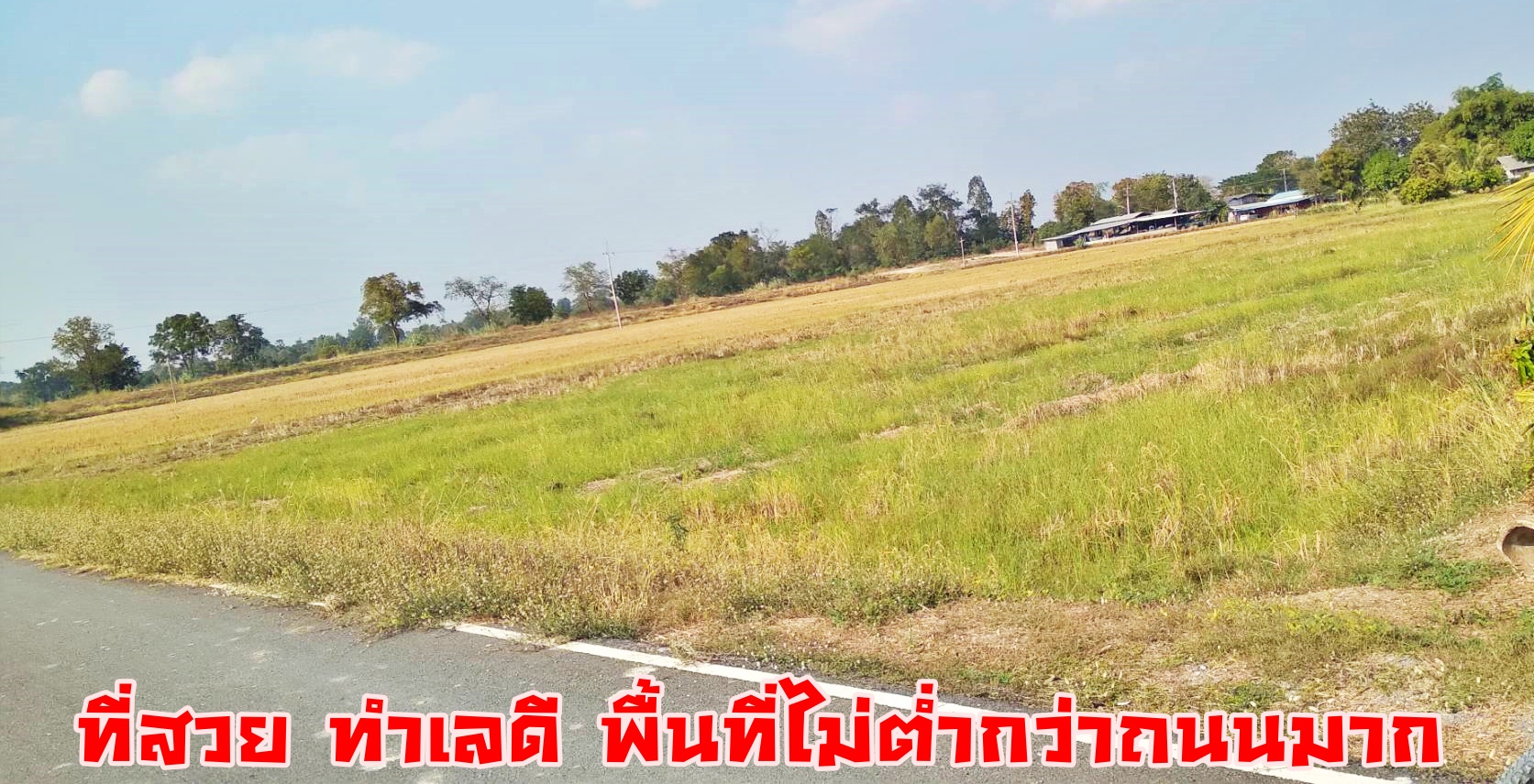 💰ขายแล้ว💰ขายที่ดินสวย ทำเลดีติดถนน อ.เมือง จ.สุพรรณบุรี เนื้อที่ 2 ไร่ ข ายยกแปลง 1,100,000 บาท ที่ดินติดถนนลาดยาง อยู่ใกล้คลองชลประทาน คลองมะขามเฒ่า-อู่ทอง ห่าง 150 เมตร ใกล้ถนนทางหลวงชนบท สพ 4059 เส้นไปดอนเจดีย์ห่าง 150 เมตร