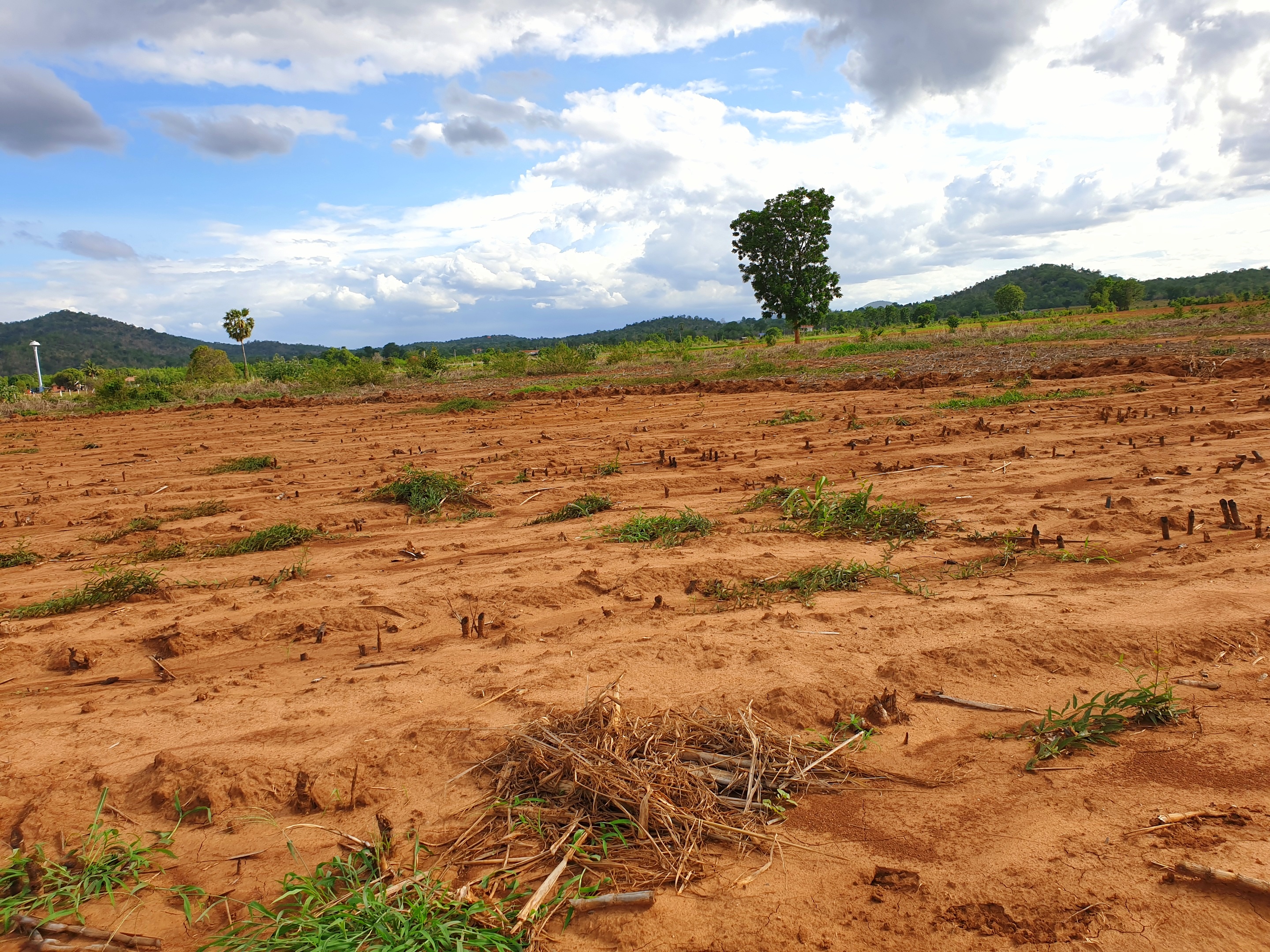 💰ขายแล้ว💰ขายที่ดินสวยราคาถูก อ.อู่ทอง จ.สุพรรณบุรี ดินดี ที่สวย บรรยากาศดี วิวภูเขา เนื้อที่ 16 ไร่ ไร่ละ 180,000 บ. อยู่ใกล้ชุมชน วัด ตลาดนัด ร้านค้า โรงเรียน