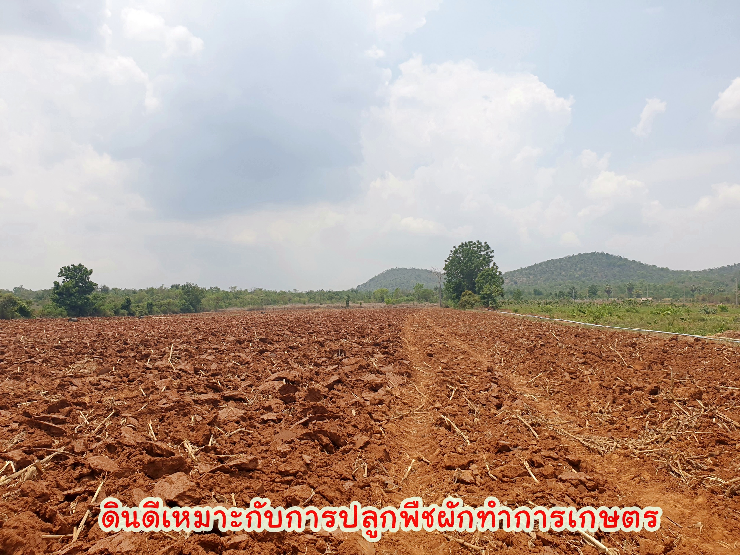 💰ขายแล้ว💰 ขายที่ดินวิวภูเขา เนื้อที่ 9 ไร่ 2 งาน ภูเขาล้อมรอบ บรรยากาศดี วิวทิวทัศน์สวยงาม ขายถูก ราคาหลักแสน วิวหลักล้าน มีบ่อบาดาลให้ 2 ลูก มีน้ำใช้ตลอดทั้งปี