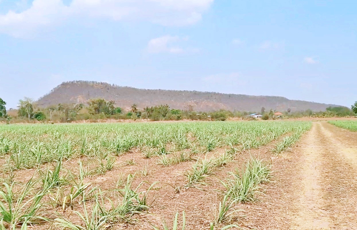 { ติดทรัพย์ } ขายที่ดินโคราช 346 ไร่ 2 งาน ไร่ละ 1.3 ล้าน ติดถนนสี่เลนสาย 304 กบินทร์บุรี-ปักธงชัย ที่สวย ด้านหน้าติดถนนสี่เลน ด้านหลังภูเขา เหมาะทำโครงการต่างๆ