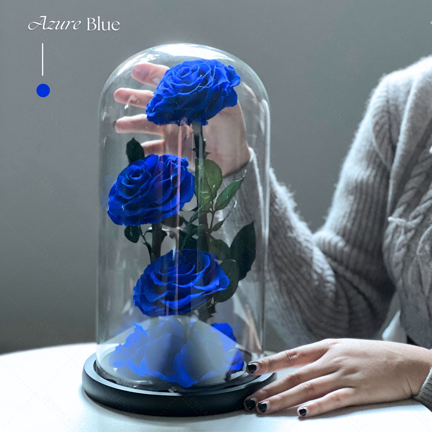 กุหลาบสดในโหลแก้ว รุ่น Extra 3 ดอก มีให้เลือก 4 สี ขาว/แดง/น้ำเงิน/ชมพู