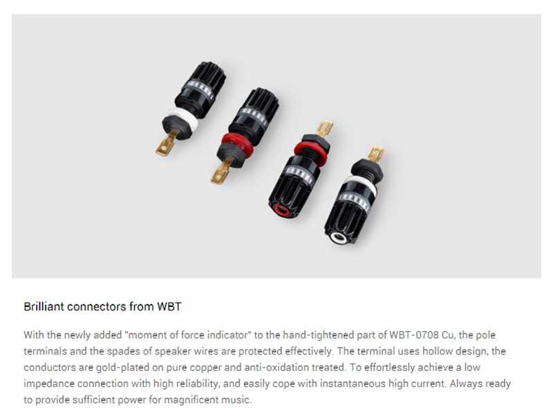 Matrix Audio Element P2 Power Amplifier คลาส D สำหรับเครื่องเสียง ประกันศูนย์ไทย