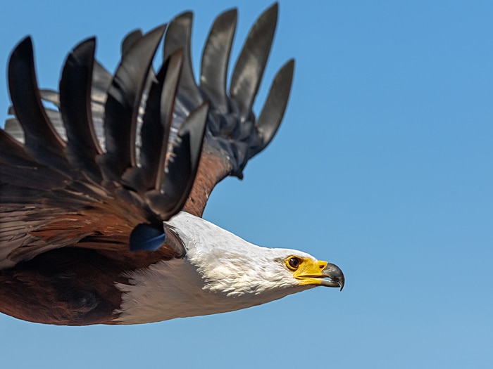 นาฬิกา Casio G-Shock Limited Love the sea and The Earth 2019 WILDLIFE PROMISING รุ่น GR-B100WLP-7A ของแท้ รับประกัน1ปี