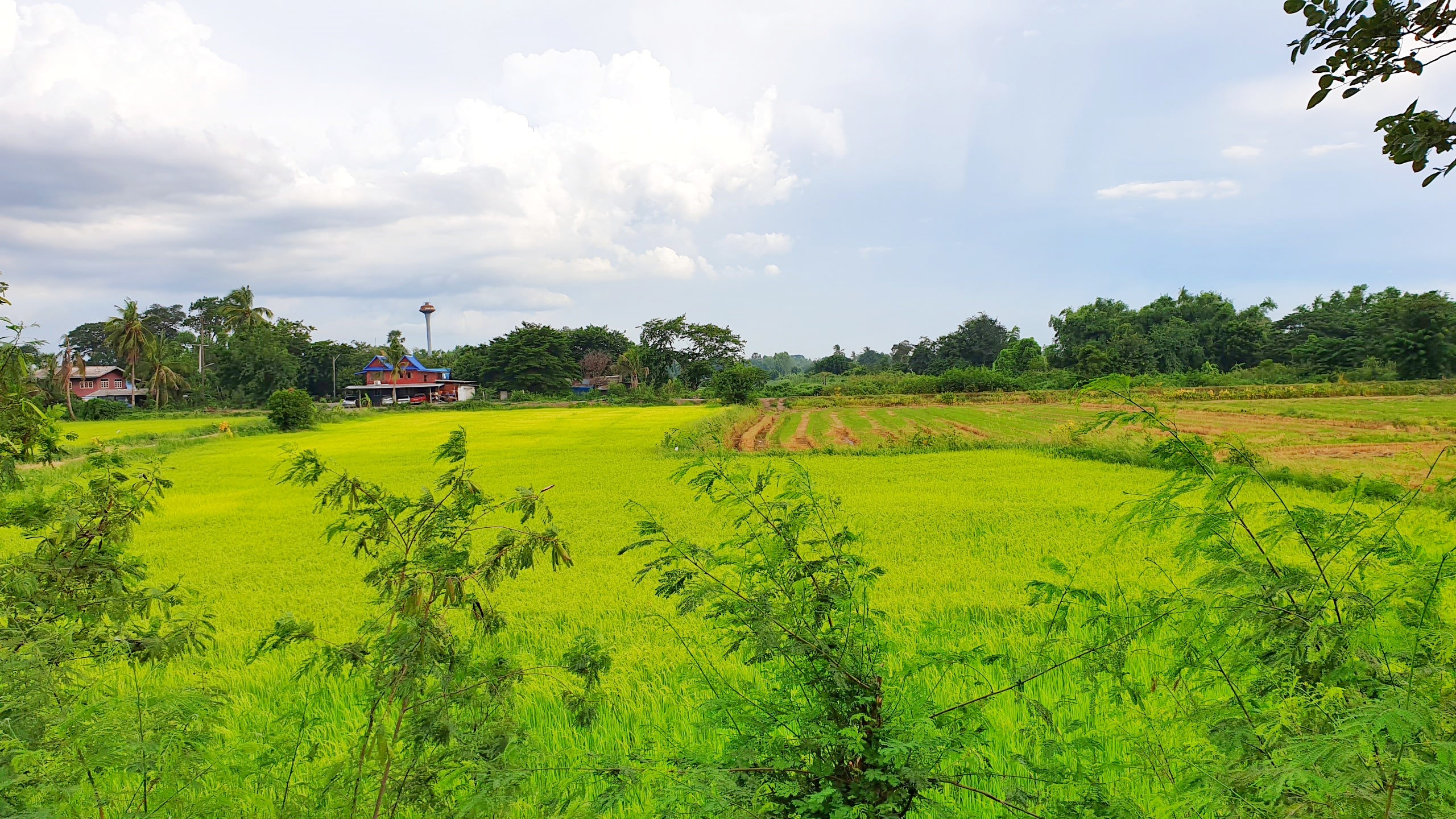 💰ขายแล้ว💰ขายที่ดินแปลงสวยเมืองสุพรรณบุรี ติดถนนใหญ่ 4 เลน เลี่ยงเมืองสุพรรณบุรีสาย 357 เนื้อที่ 6 ไร่ 1 งาน ที่สวย ทำเลทอง