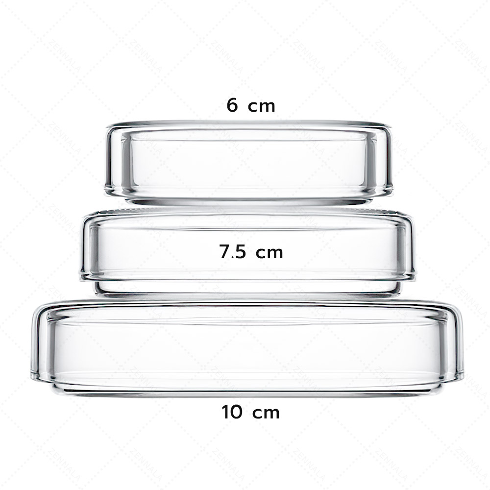 จานเพาะเชื้อ แบบแก้ว Glass Petri Dishes มีให้เลือก 3 ขนาด