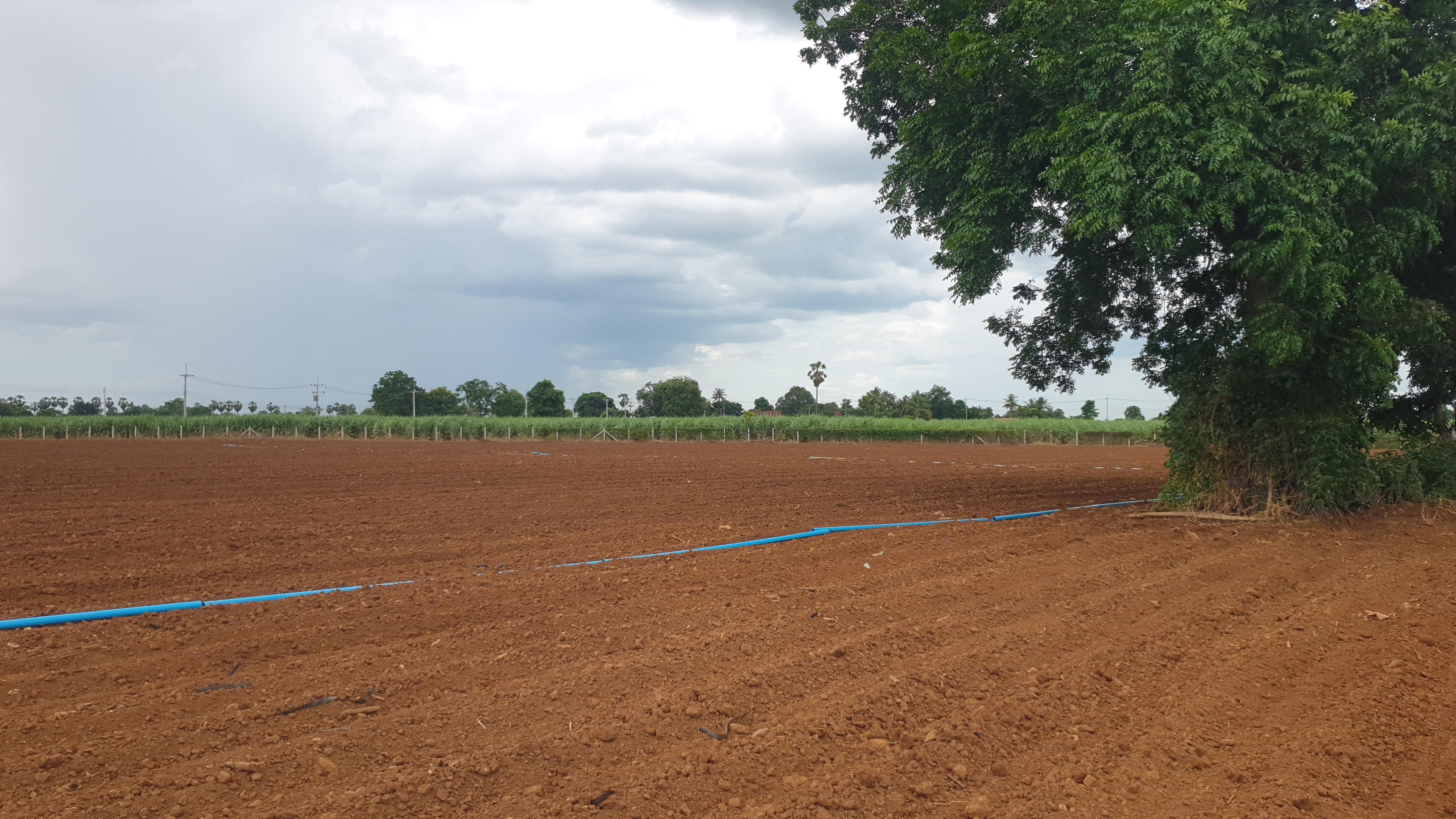 ขายที่ดินสวย 12 ไร่ 2 งาน 53.5 ตร.ว. หน้ากว้างติดถนนสาธารณะ 193 ม. วิวภูเขา 180° อากาศดี เงียบสงบ เหมาะทำบ้านพัก รีสอร์ต หรือเกษตรครบวงจร โอบล้อมด้วยทิวเขา 180° วิวอลังการเต็มตา บรรยากาศธรรมชาติสุดฟิน