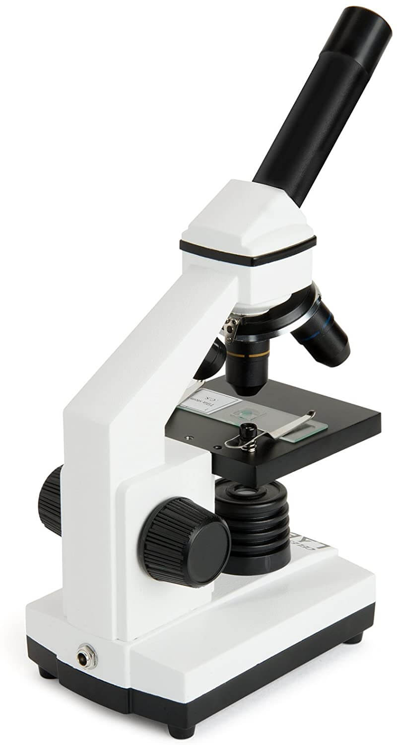 กล้องจุลทรรศน์ตาเดียว 800X Celestron Labs รุ่น CM800