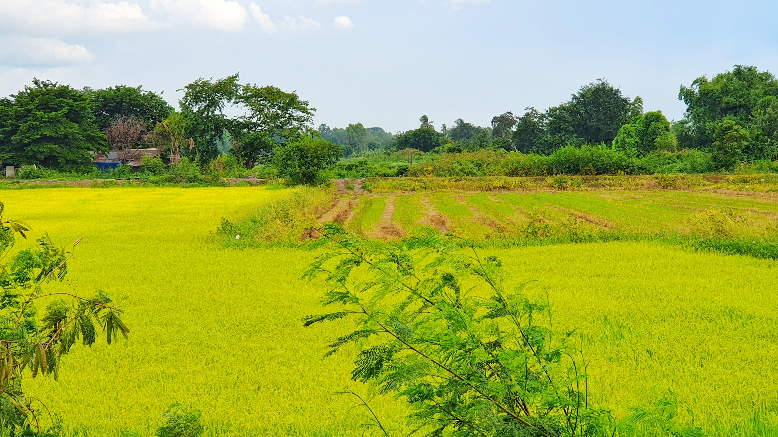 💰ขายแล้ว💰ขายที่ดินแปลงสวยเมืองสุพรรณบุรี ติดถนนใหญ่ 4 เลน เลี่ยงเมืองสุพรรณบุรีสาย 357 เนื้อที่ 6 ไร่ 1 งาน ที่สวย ทำเลทอง