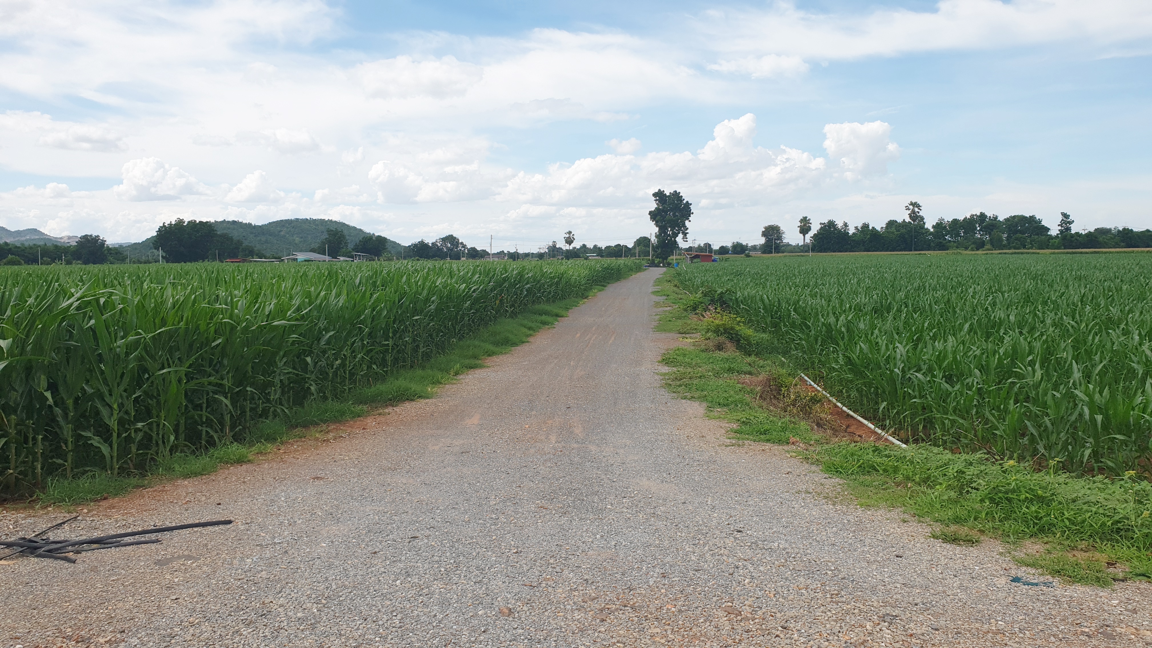 ขายที่ดินวิวภูเขา ชัดรอบทิศ วิวร้อยล้าน ขายราคาหลักแสน ต.พลับพลาไชย อ.อู่ทอง จ.สุพรรณบุรี เนื้อที่ 11 ไร่ 2 งาน 28 ตรว ไร่ละ 480,000 บ. ทางสาธารณะกว้าง 6 เมตร วิวเขา 180 องศา จากถนนทางหลวงชนบทลาดยางเข้ามาประมาณ 80 เมตร ดินดี ที่สวย บรรยากาศดี วิวภูเขารอบท