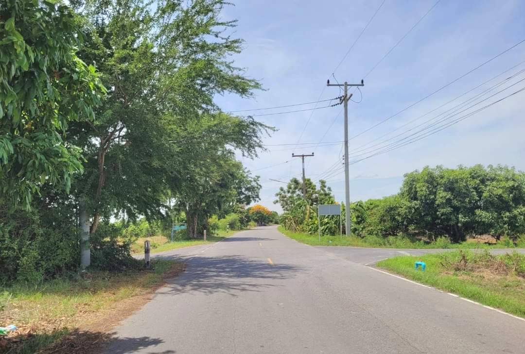 ขายที่ดินสวนมะม่วง 2 ไร่ บรรยากาศดี ทำเลเยี่ยม ราคาถูก! ติดดถนนลาดยาง 2 ด้าน: ต.สนามคลี อ.เมือง จ.สุพรรณบุรี เนื้อที่: 2 ไร่ ขายยกแปลง 1.3 ล้าน เข้าออกสะดวก