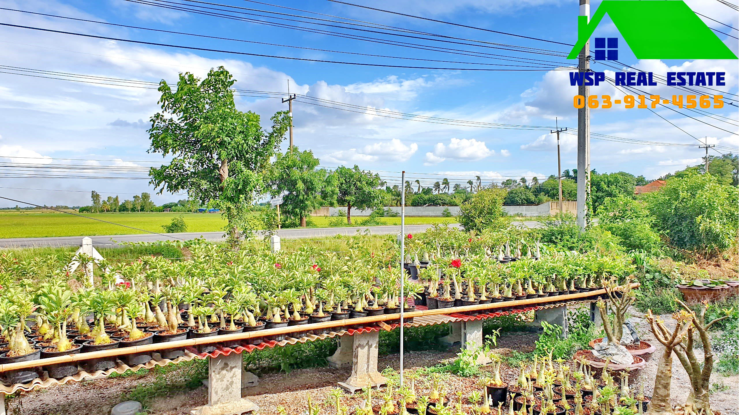 ขายที่ดินพร้อมสิ่งปลูกสร้าง 2 ไร่ อ.อู่ทอง จ.สุพรรณบุรี ติดถนนเส้นหลักทางหลวง 333 อู่ทอง-สระกระโจม บ้านสวย พร้อมอยู่