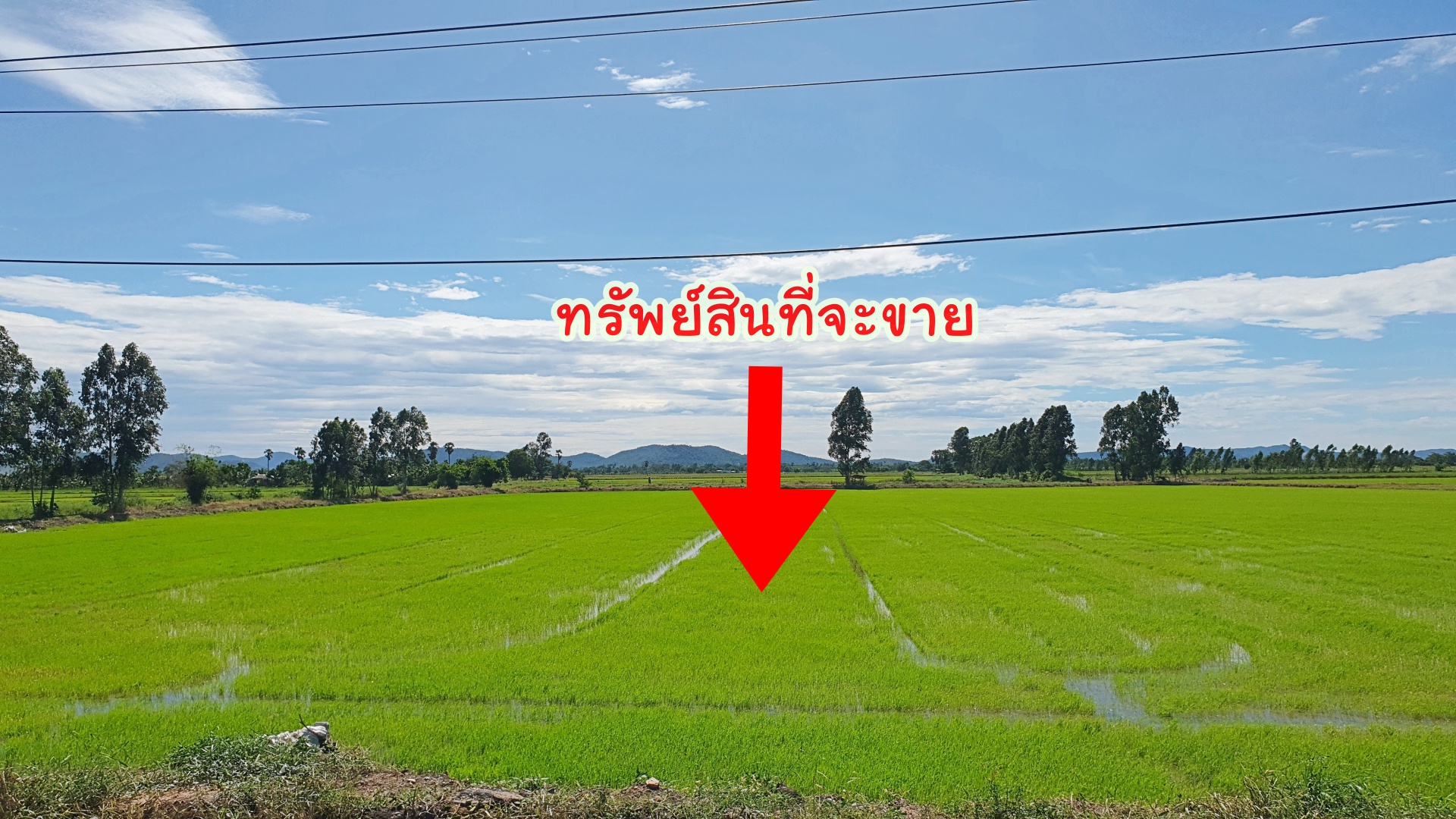 💰ติดทรัพย์💰ขายที่ดินแปลงสวย ทำเลทอง ติดถนนสี่เลน อ.อู่ทอง จ.สุพรรณบุรี เนื้อที่ 4-3-66 ไร่ ไร่ละ 1.4 ล้าน หน้ากว้างติดถนน 47 เมตร ลึก 185 เมตร ทำเลดี ที่สวย อยู่ใกล้สถานที่ท่องเที่ยวหลายแห่งในเมืองสุพรรณ