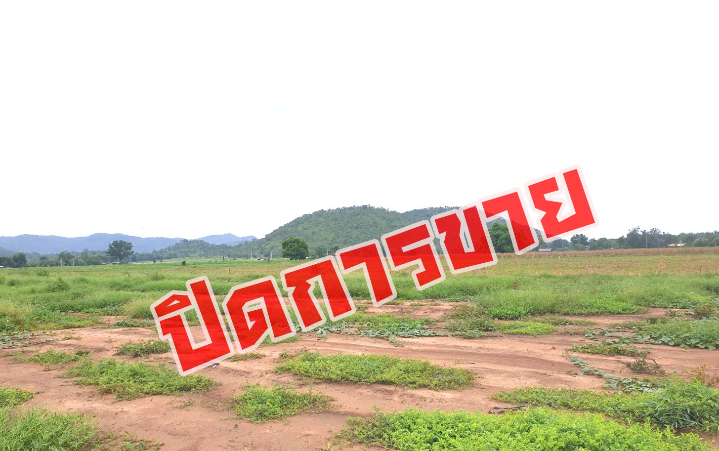 💰ขายแล้ว💰ขายที่ดินสวยราคาถูก อ.อู่ทอง จ.สุพรรณบุรี ดินดี ที่สวย บรรยากาศดี วิวภูเขา เนื้อที่ 16 ไร่ ไร่ละ 180,000 บ. อยู่ใกล้ชุมชน วัด ตลาดนัด ร้านค้า โรงเรียน