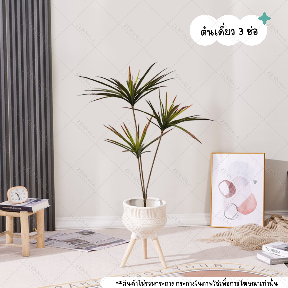 ต้น Dracaena Rainbow tree 120cm (เข็มสามสี)