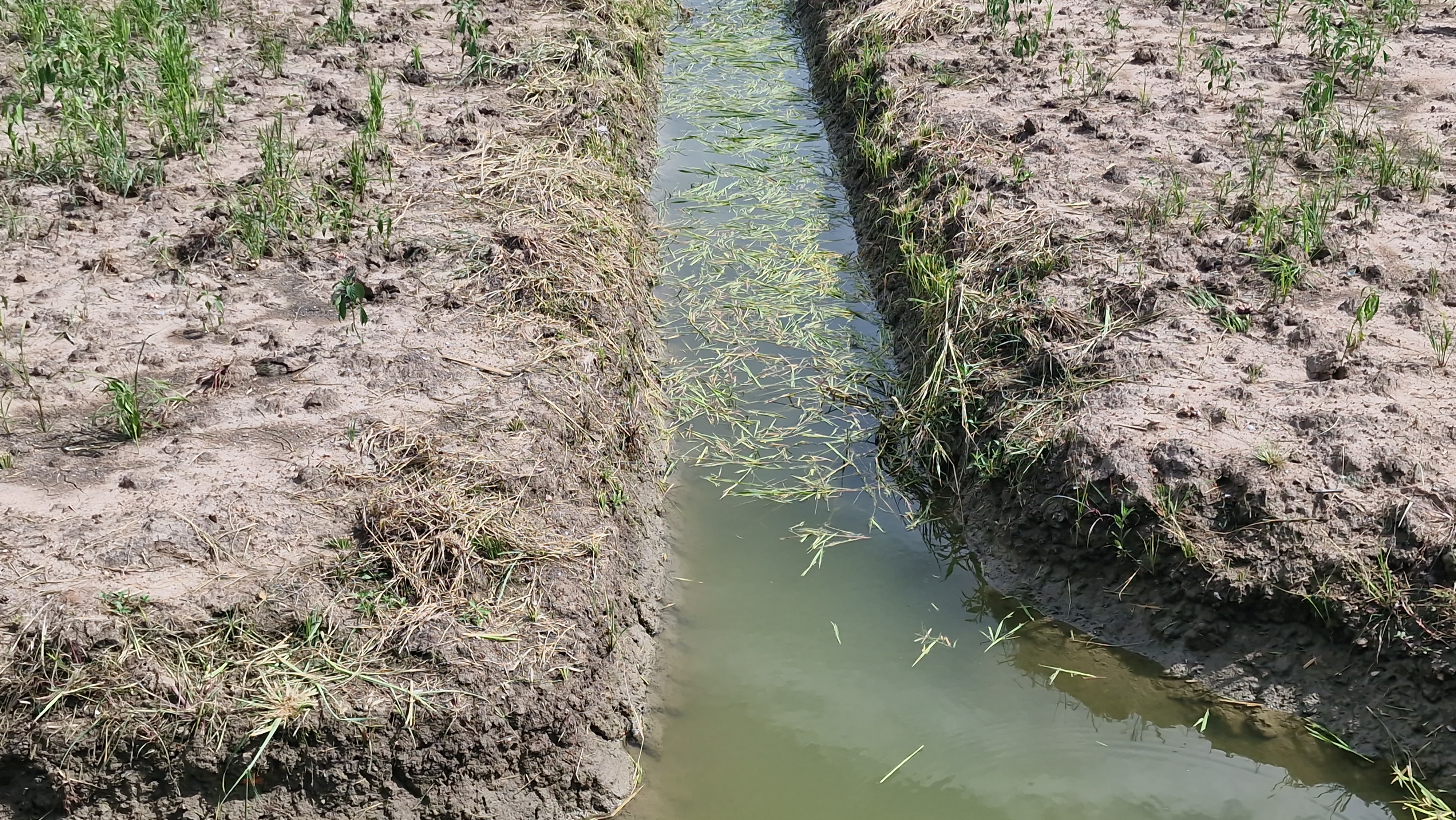 ที่ดินสวย 8 ไร่ 3 งาน 43 ตร.ว. อู่ทอง สุพรรณบุรี หน้ากว้างติดถนนลาดยาง 127 ม. ลึก 153 ม. ทำเลดี มีบ่อน้ำธรรมชาติ ขายเพียง 3.39 ล้าน เหมาะลงทุนหรือทำโครงการ หรือปลูกบ้านพักยามเกษียน ทำเกษตรพอเพียงหรือโคกหนองนา✨