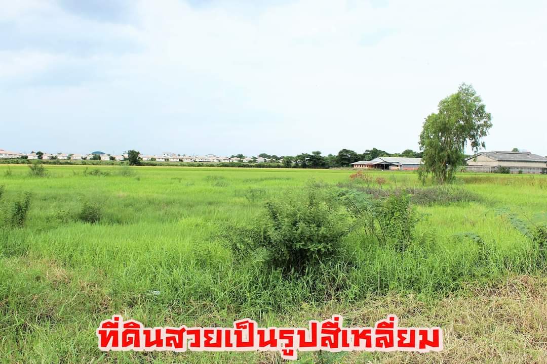 ⚜️ติดทรัพย์⚜️ขายที่ดินบางบัวทอง จ.นนทบุรี ใกล้ถนน 345 ใกล้ศุภาลัย วิล์ล ที่สวย ทำเลดี 5 ไร่ 2 งาน ตรว.ละ 30,000 บาท หน้ากว้างติดถนนคอนกรีต 145 เมตร ลึก 58 เมตร