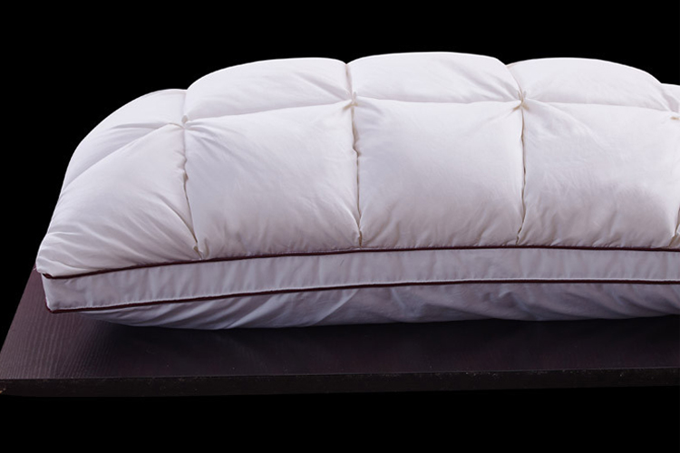 หมอนขนห่าน ใบใหญ่