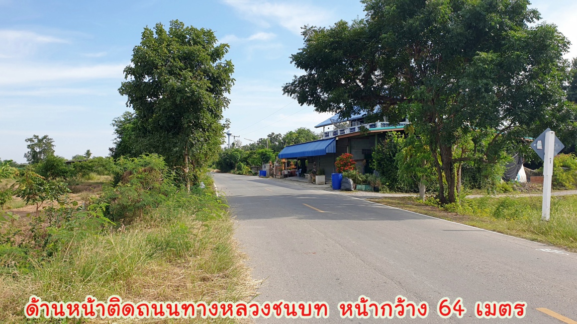 💰ติดทรัพย์💰ขายสวนมะม่วงน้ำดอกไม้สีทอง 6 ไร่ 3 งาน 70 ตารางวา ขายยกแปลง 4.8 ล้าน อ.เมือง จ.สุพรรณบุรี หน้ากว้างติดถนน 64 เมตร ลึก 172 เมตร ที่ดินติดถนนลาดยางทางหลวงชนบท 3006