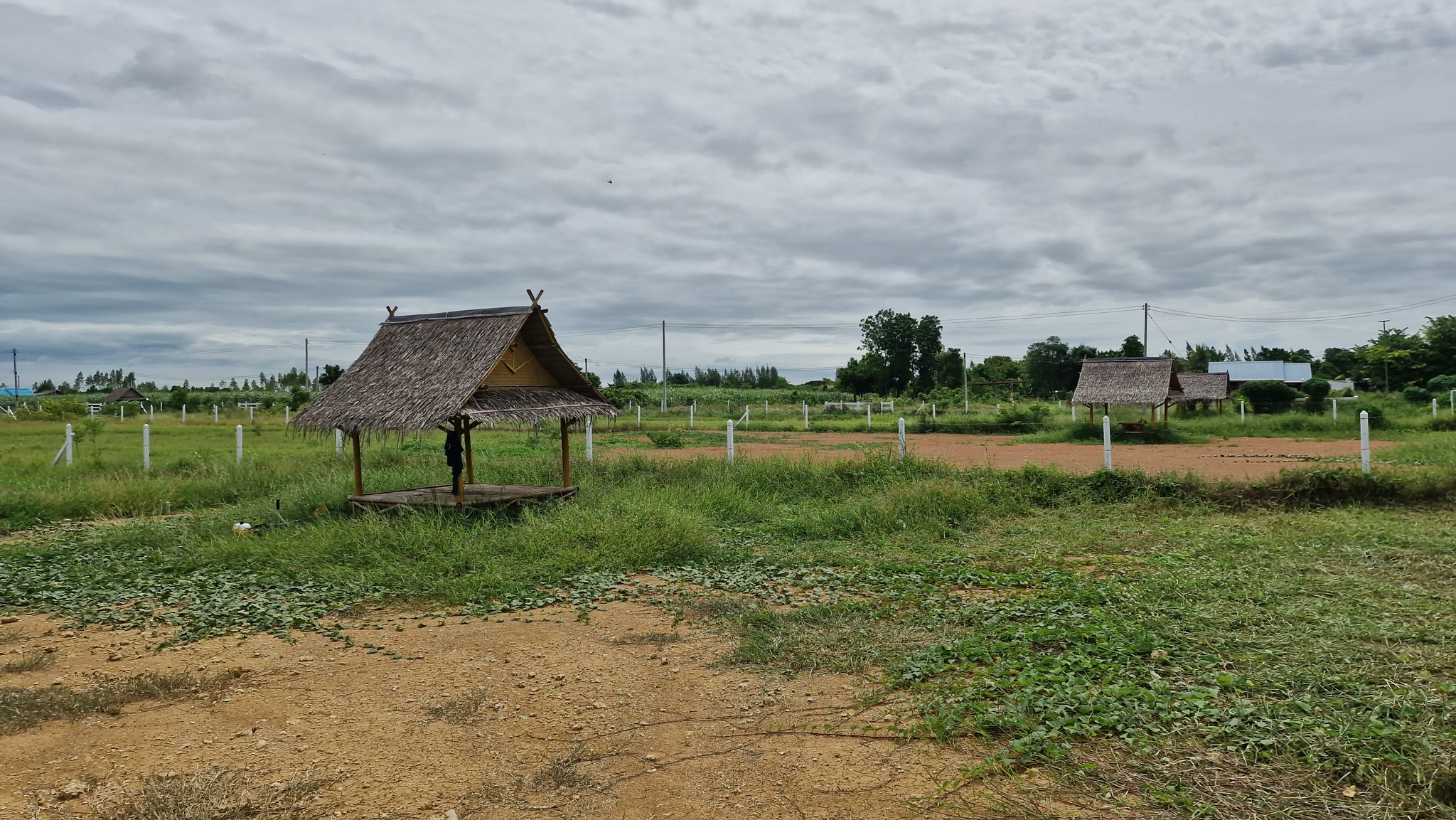 ขายถูก! ที่ดิน 1 ไร่ 2 งาน อ.อู่ทอง สุพรรณบุรี ถมแล้วพร้อมรั้ว ติดถนนลาดยาง ใกล้โรงเรียน วัด โรงพยาบาล ตลาดสด หน้ากว้าง 32 ม. ลึก 82 ม. ถมแล้ว มีรั้ว 💰 ราคาเพียง 629,000 บาท