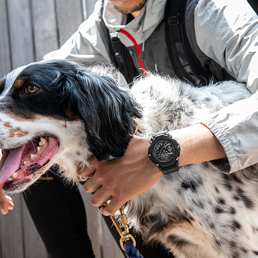 นาฬิกา Casio G-Shock ANALOG-DIGITAL GA-2200 series รุ่น GA-2200BB-1A ของแท้ รับประกัน1ปี