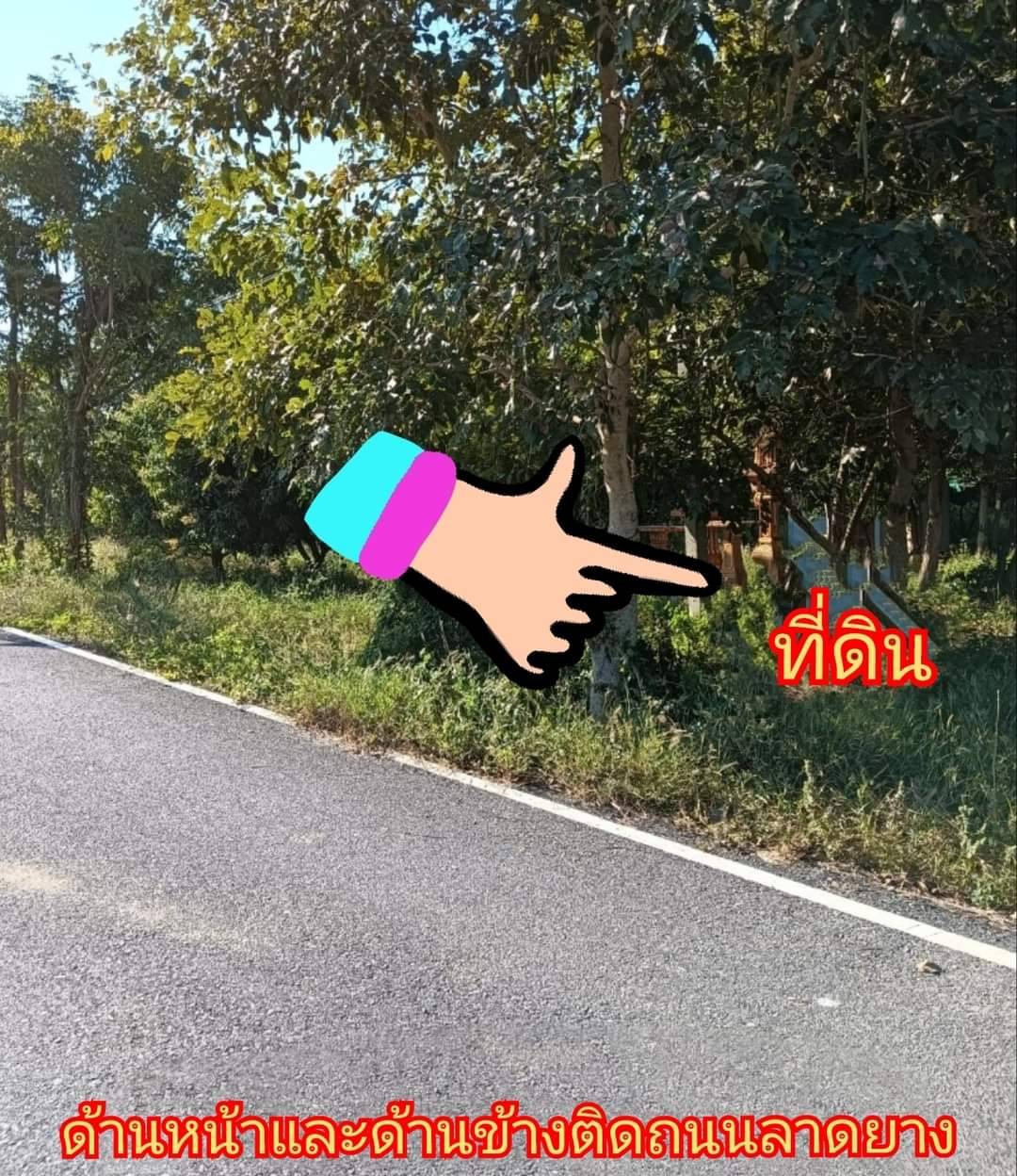 ขายที่ดินสวนมะม่วง 2 ไร่ บรรยากาศดี ทำเลเยี่ยม ราคาถูก! ติดดถนนลาดยาง 2 ด้าน: ต.สนามคลี อ.เมือง จ.สุพรรณบุรี เนื้อที่: 2 ไร่ ขายยกแปลง 1.3 ล้าน เข้าออกสะดวก