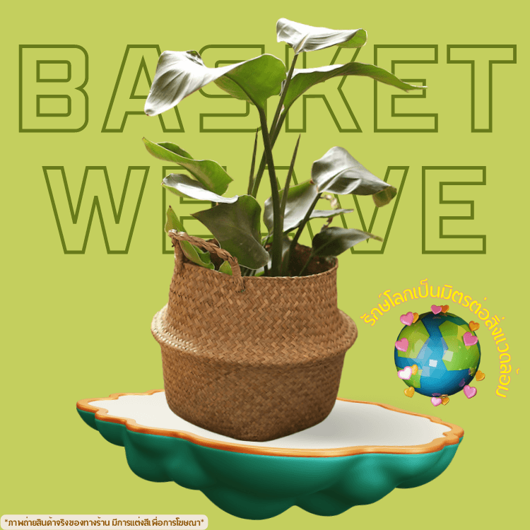 ตะกร้าสานใส่ต้นไม้