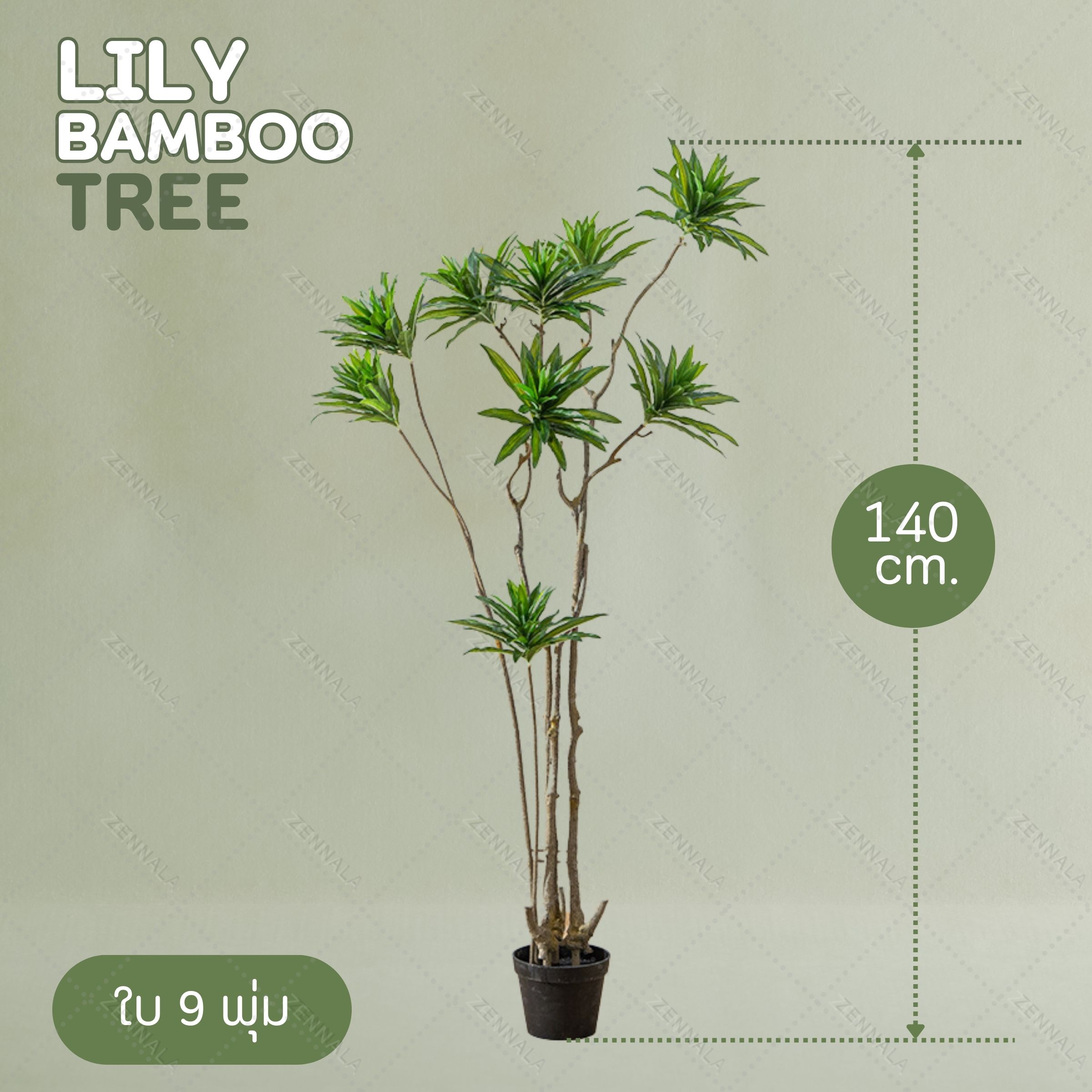 ต้น Llly Bamboo 140cm. / 160cm.