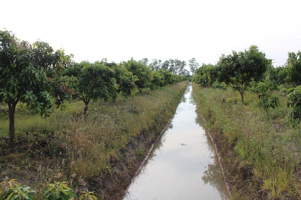 ð°āļāļēāļĒāđāļĨāđāļ§ð°āļāļēāļĒāļāļĩāđāļāļīāļāļŠāļ§āļāļĄāļ°āļĄāđāļ§āļ āļ.āđāļĄāļ·āļāļ āļ.āļŠāļļāļāļĢāļĢāļāļāļļāļĢāļĩ āđāļāļ·āđāļāļāļĩāđ 10-0-22 āđāļĢāđ āļāļēāļĒāđāļĢāđāļĨāļ° 5 āđāļŠāļ āļāđāļēāļāļŦāļāđāļēāļāļīāļāļāļāļāļāļēāļāļŦāļĨāļ§āļāļāļāļāļ 3006 āļāļĩāđāļŠāļ§āļĒ āļŦāļāđāļēāļāļ§āđāļēāļāļāļīāļāļāļāļ 85 āđāļĄāļāļĢ ðāļāđāļēāļāļŦāļĨāļąāļāļāļāļāļŠāļēāļāļēāļĢāļāļ°āļāļĢāļ°āđāļĒāļāļāđ āļāļ§āđāļēāļ 75 āđāļĄāļāļĢ āļĄāļ°āļĄāđāļ§āļ 800 āļāļ§āđāļēāļāđāļ āļāļēāļĒāļļ 5-6 āļāļĩ āļāļĢāđāļāļĄāđāļāđāļ