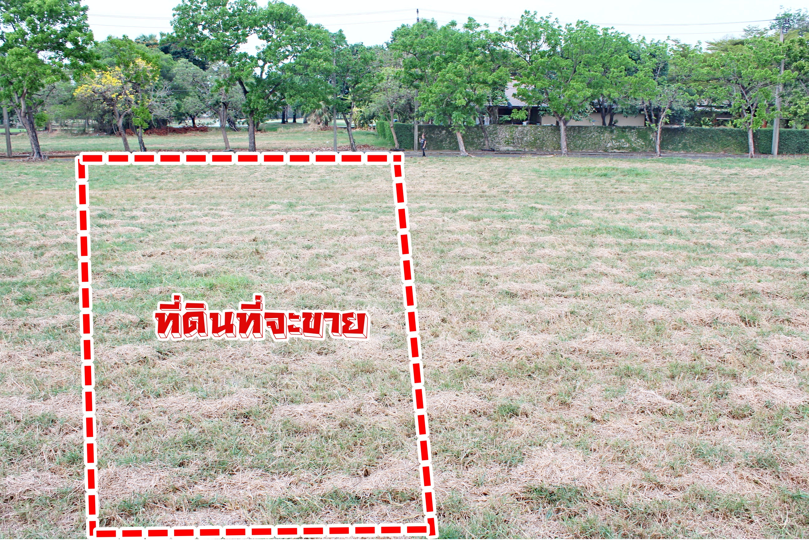 ขายที่ดินเปล่า สนามกอล์ฟเลควูด คันทรีคลับ บางพลี บางนาตราด กม.18 เนื้อที่ 1-0-15 ไร่ หรือ 415 ตร.ว บรรยากาศเป็นส่วนตัว หรู มีระดับ เหมาะสร้างที่อยู่อาศัย