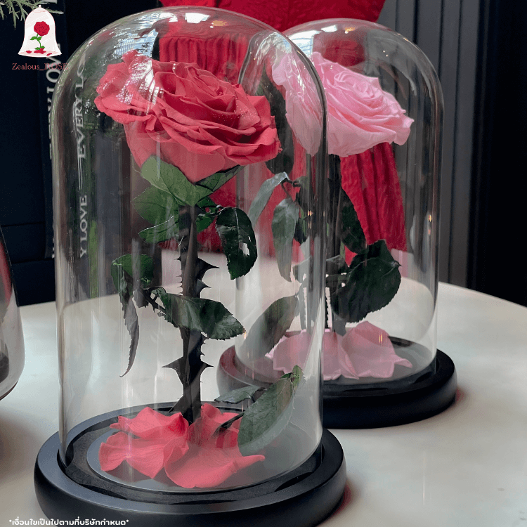กุหลาบสดในโหลแก้ว 3 ขนาด Size S, M, L พร้อมกล่องสุด Premium