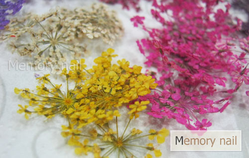 ดอกไม้แห้ง เป็นช่อ 12 สี