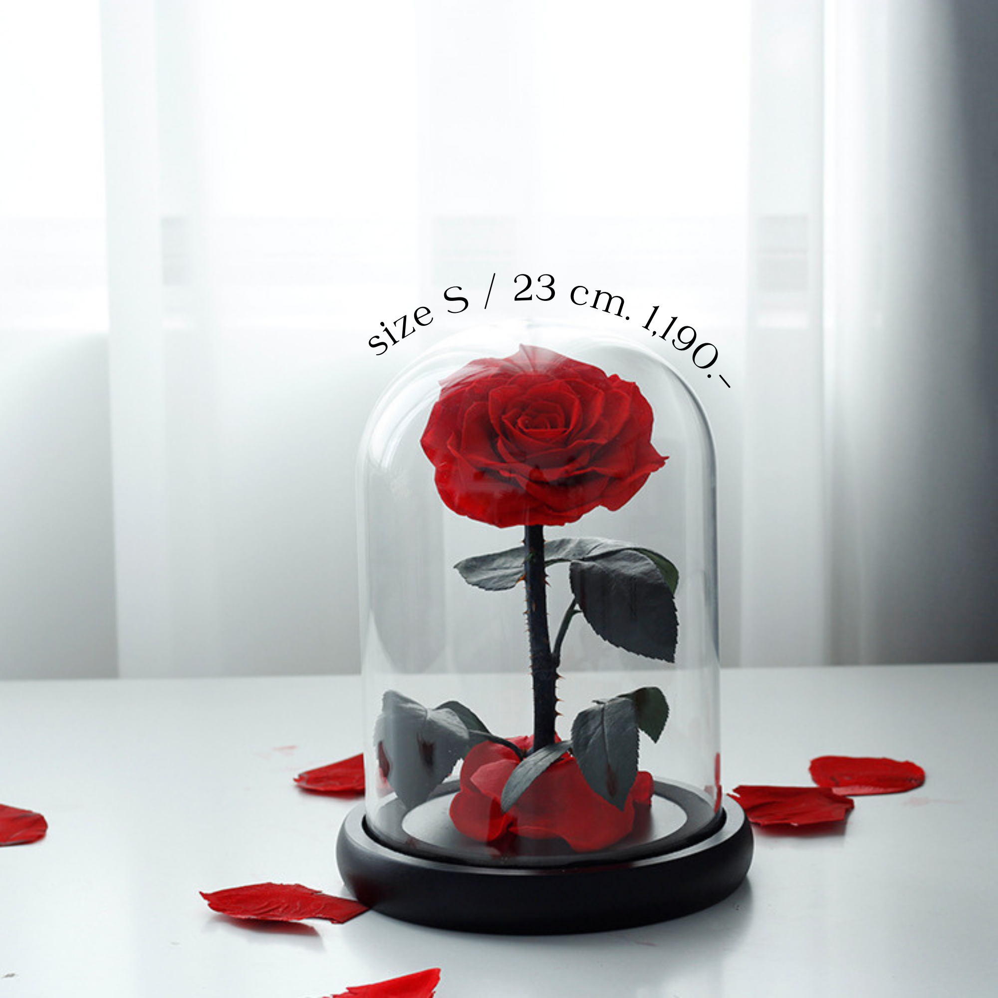 กุหลาบสดในโหลแก้ว Size S พร้อมกล่องสุด Premium