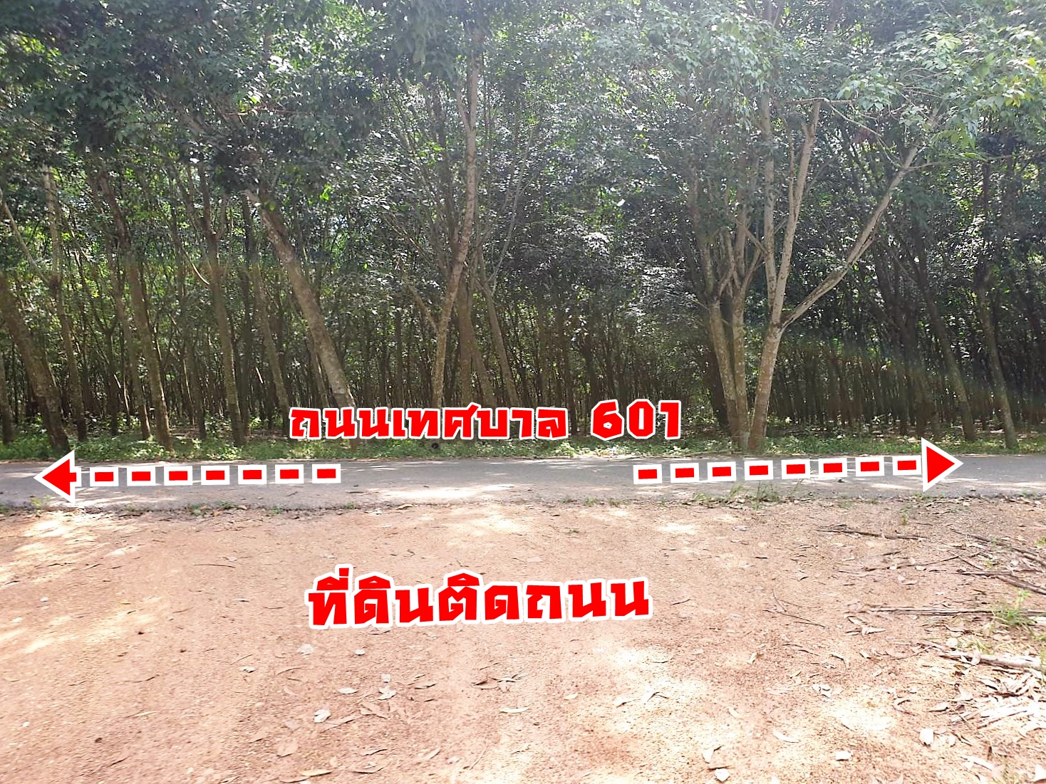 ขายที่ดินแปลงสวย อ.หนองใหญ่ ชลบุรี เนื้อที่ 92-2-80 ไร่ วิวทิวทัศน์สวยงาม ติดถนนเทศบาล วิวภูเขา