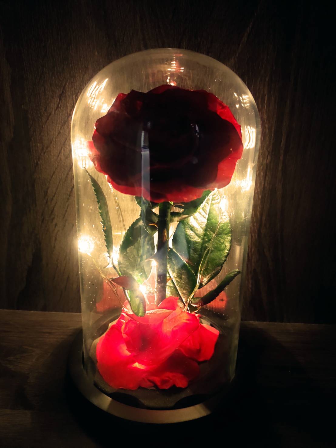 กุหลาบสดในโหลแก้ว มี 2 สีให้เลือก 【มีไฟที่ฐาน】พร้อมกล่องสุด Premium