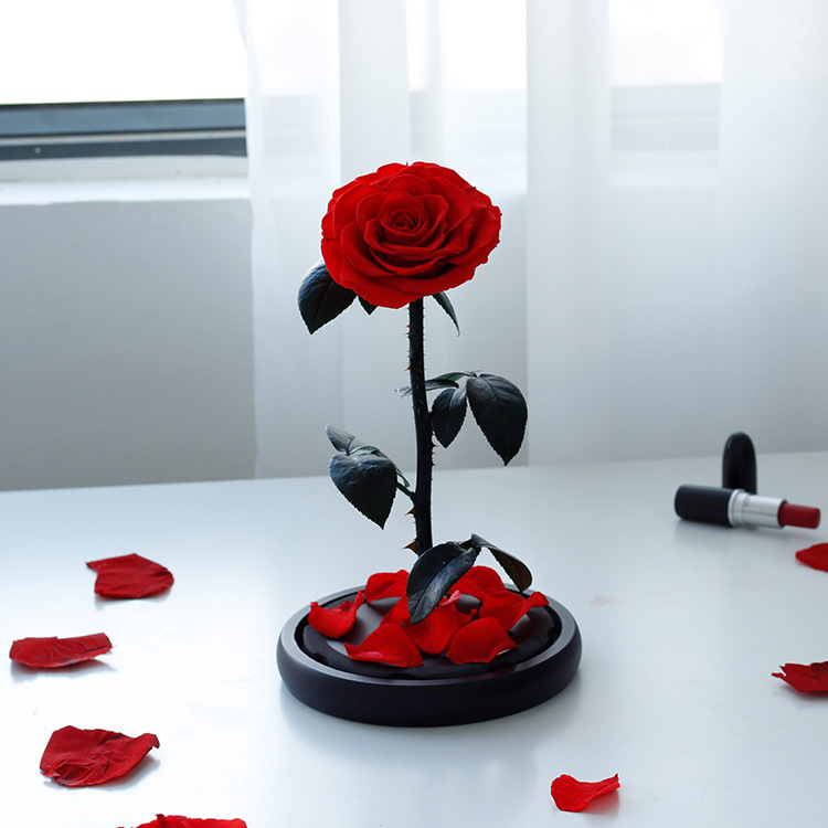 กุหลาบสดในโหลแก้ว Size L (18x32cm) พร้อมกล่องสุด Premium