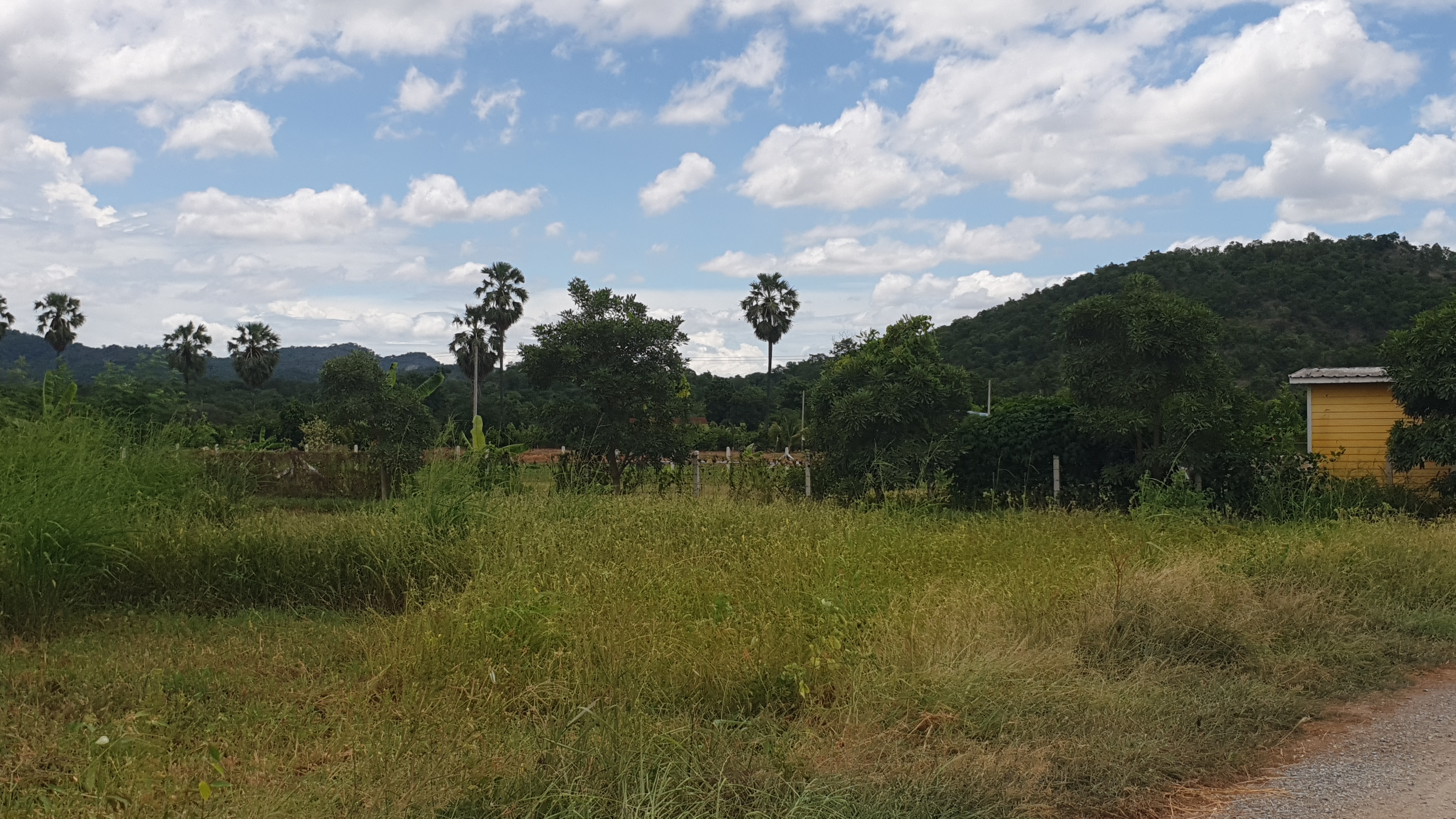 ขายที่ดินวิวภูเขา 180° อ.อู่ทอง จ.สุพรรณบุรี ใกล้แลนด์มาร์คสำคัญใน อ.อู่ทอง เนื้อที่: 16 ไร่ 1 งาน 26.8 ตร.ว. | ราคาไร่ละ 308,888 บาท ต.พลับพลาไชย อ.อู่ทอง จ.สุพรรณบุรี