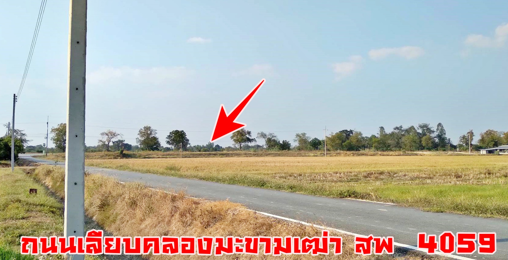 💰ขายแล้ว💰ขายที่ดินสวย ทำเลดีติดถนน อ.เมือง จ.สุพรรณบุรี เนื้อที่ 2 ไร่ ข ายยกแปลง 1,100,000 บาท ที่ดินติดถนนลาดยาง อยู่ใกล้คลองชลประทาน คลองมะขามเฒ่า-อู่ทอง ห่าง 150 เมตร ใกล้ถนนทางหลวงชนบท สพ 4059 เส้นไปดอนเจดีย์ห่าง 150 เมตร