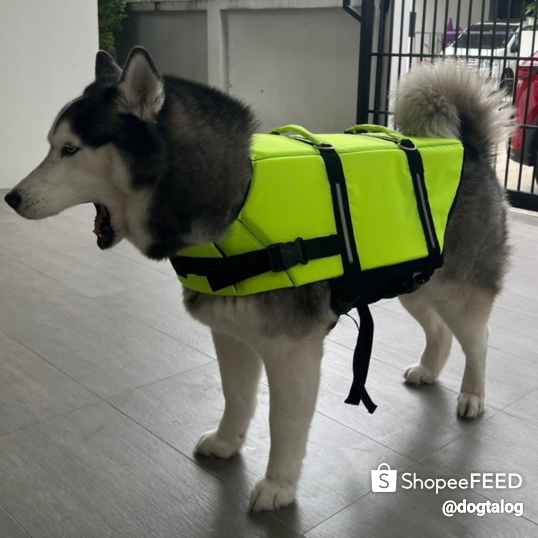 เสื้อชูชีพสุนัข Dogtalog เบอร์ XL