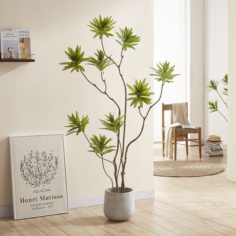 ต้น Llly Bamboo 140cm. / 160cm.